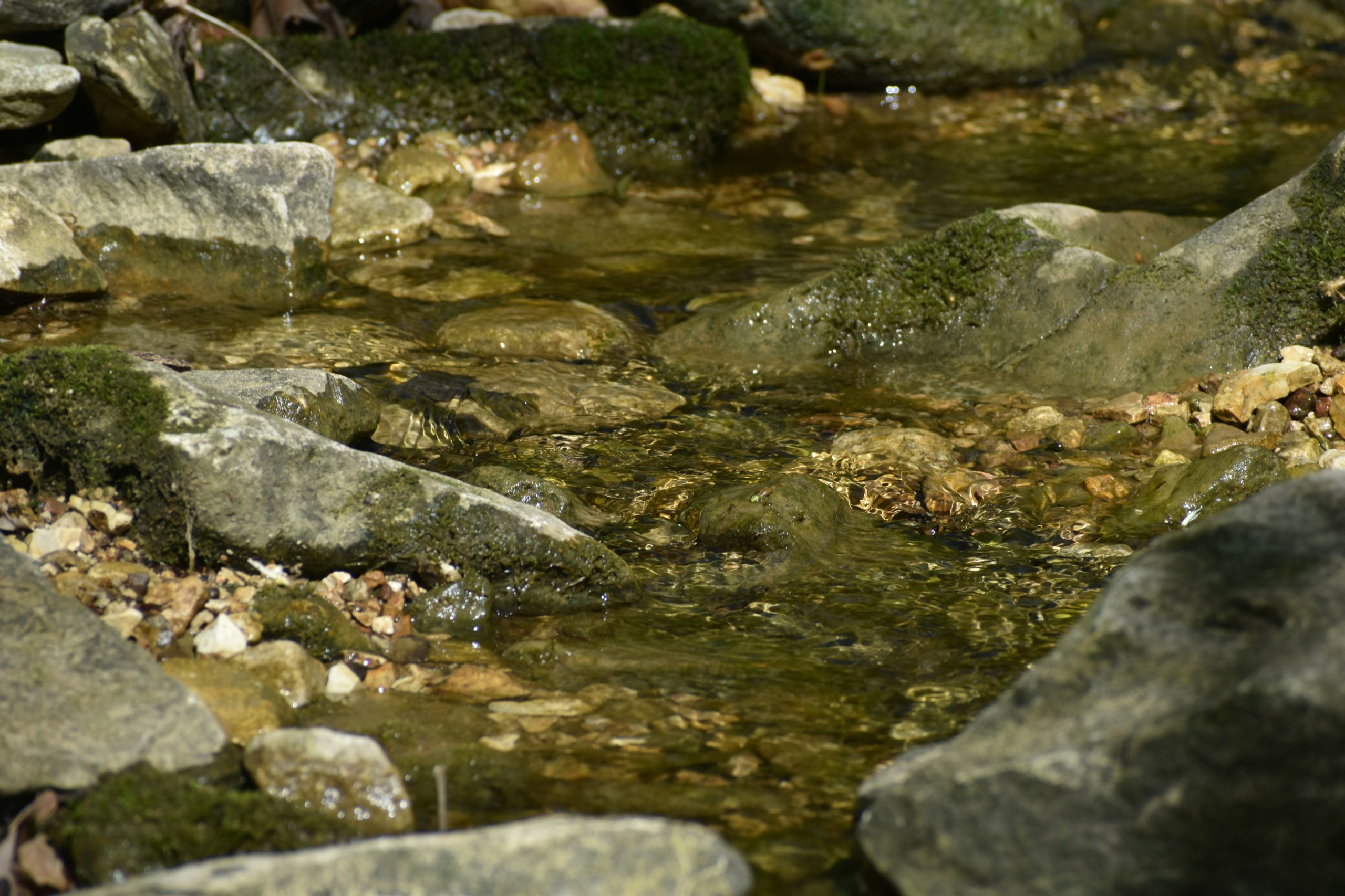 A serene arrangement of smooth stones beside calm water
