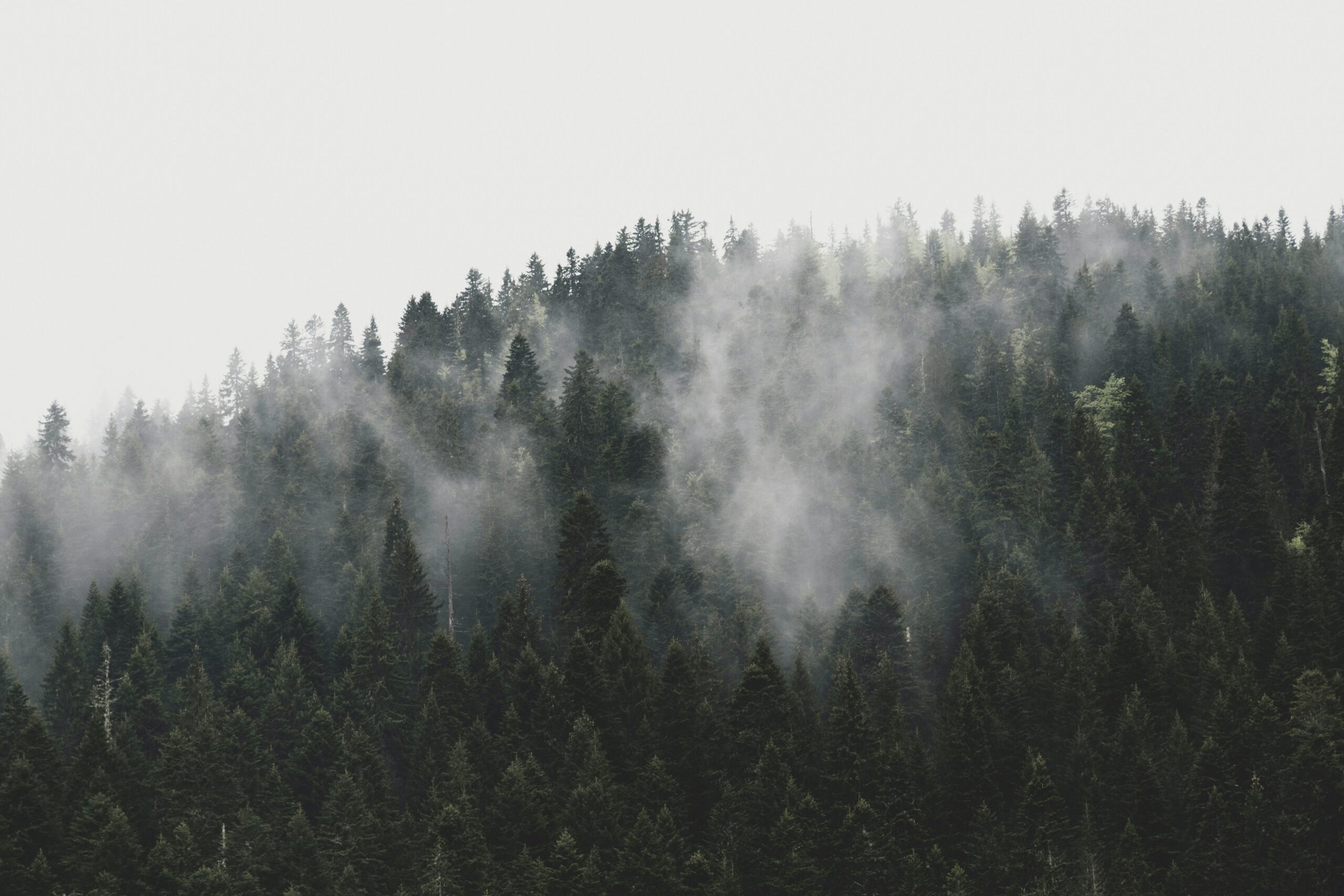 deep breathing exercise