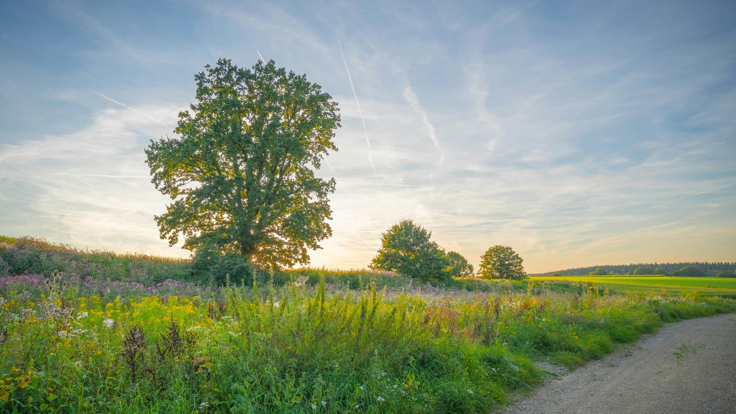 Sarah meditating in her home Stress-Free Zone