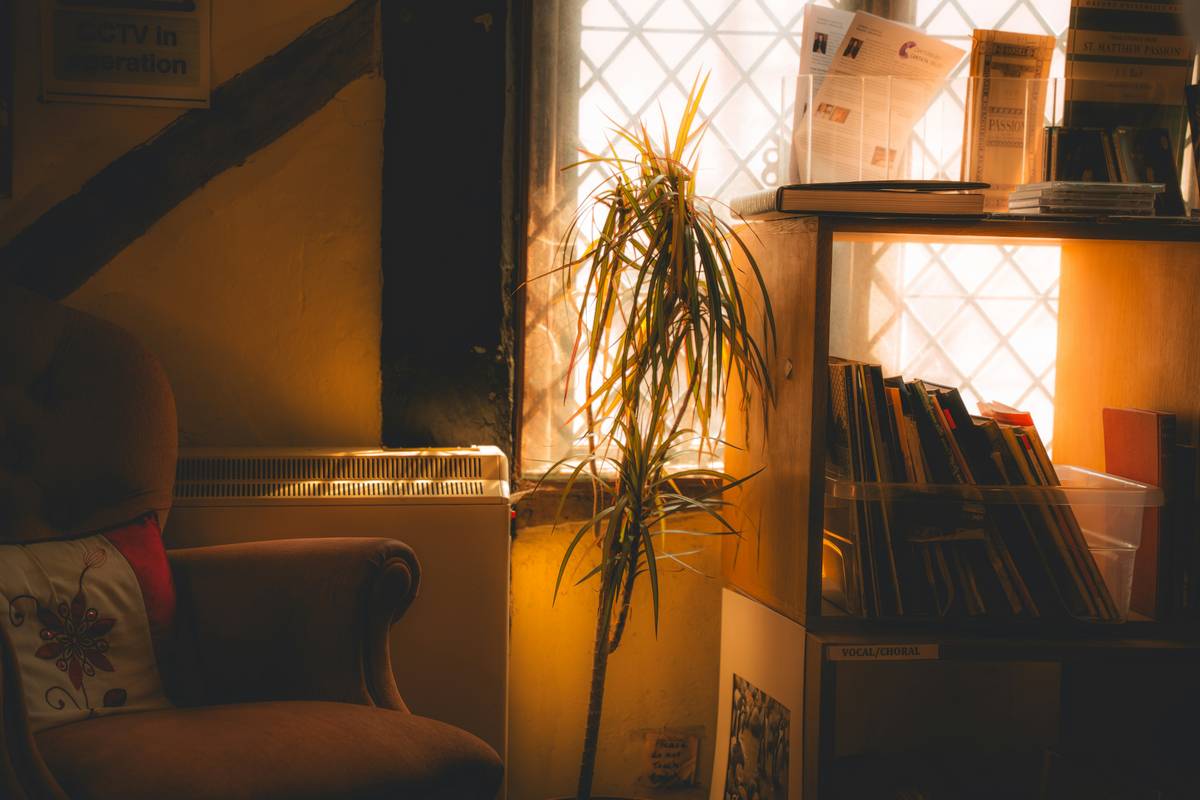 How the Right Serene Home Gadget Can Revolutionize Your Stress Management Game