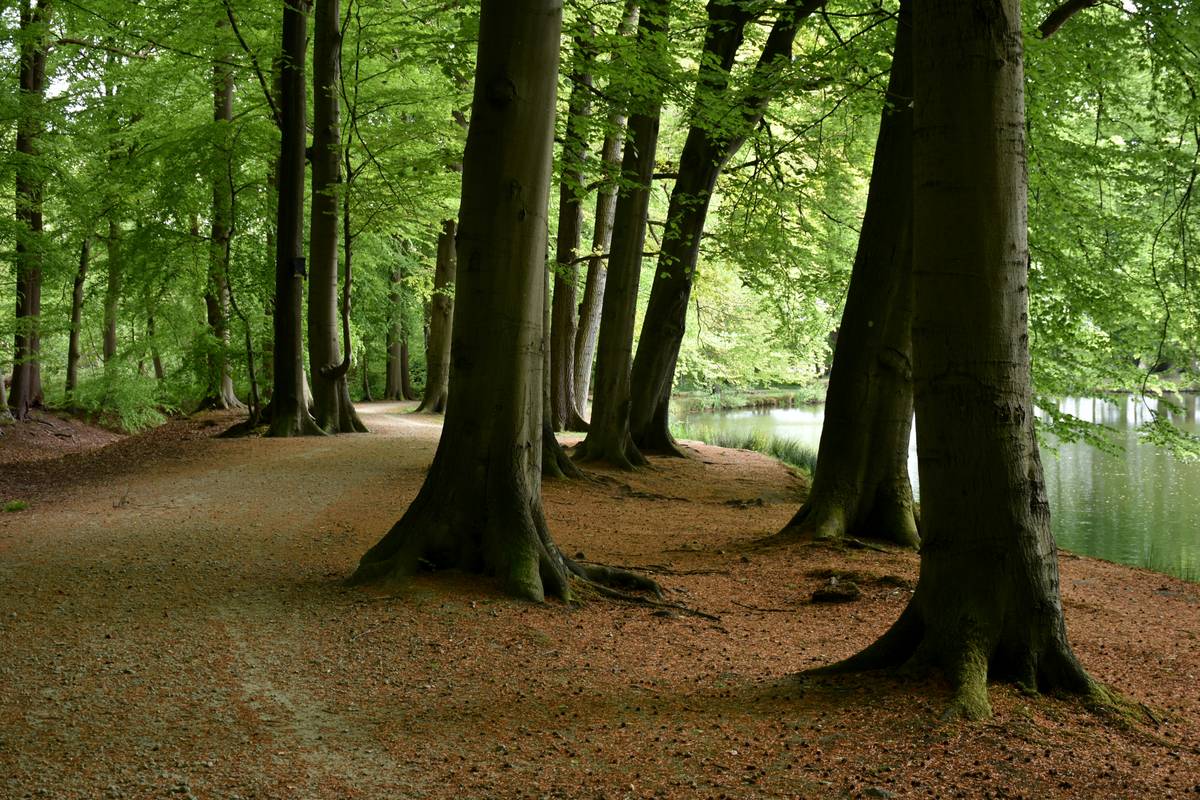 Infographic showing statistics about chronic stress impacts