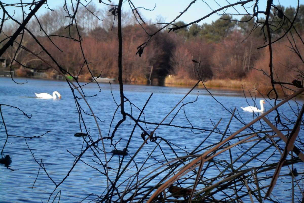 A screenshot of the Quiet Mind Quest interface highlighting its features.