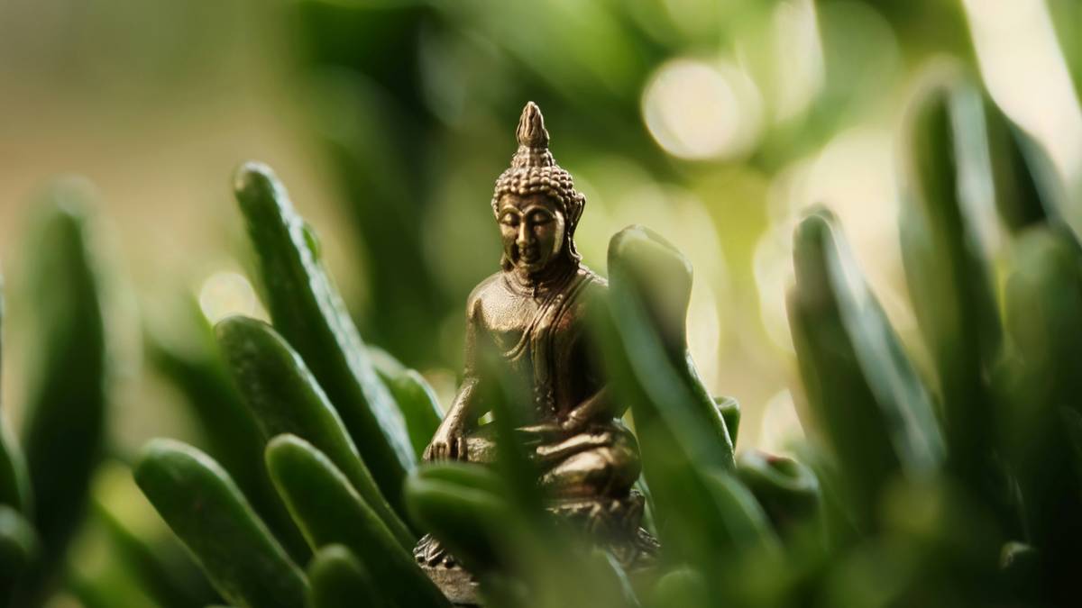 Couple smiling while using meditation app together