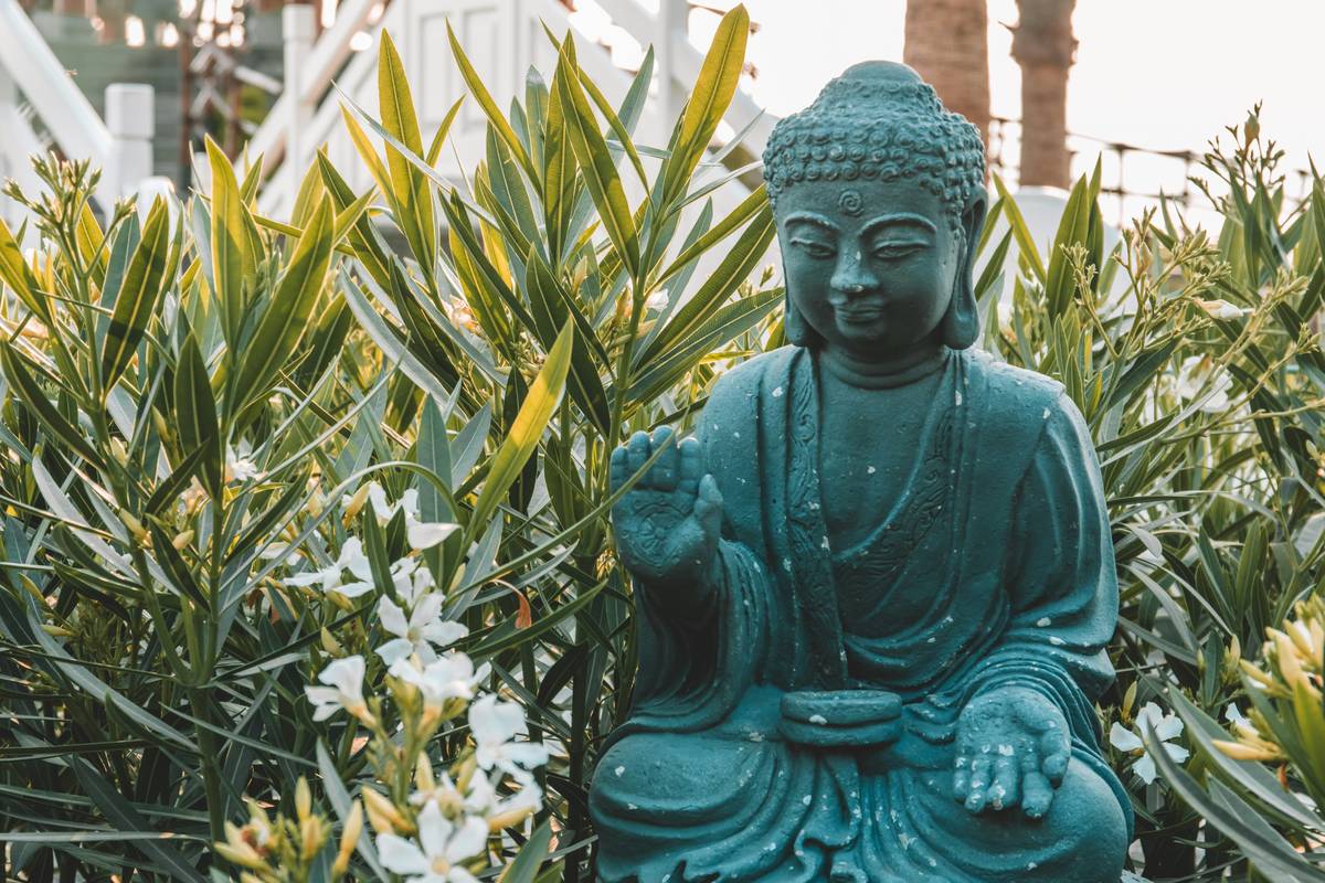 How to Find Relief from Overload with Stress Management Apps: A Lifesaver for Your Mental Wellbeing