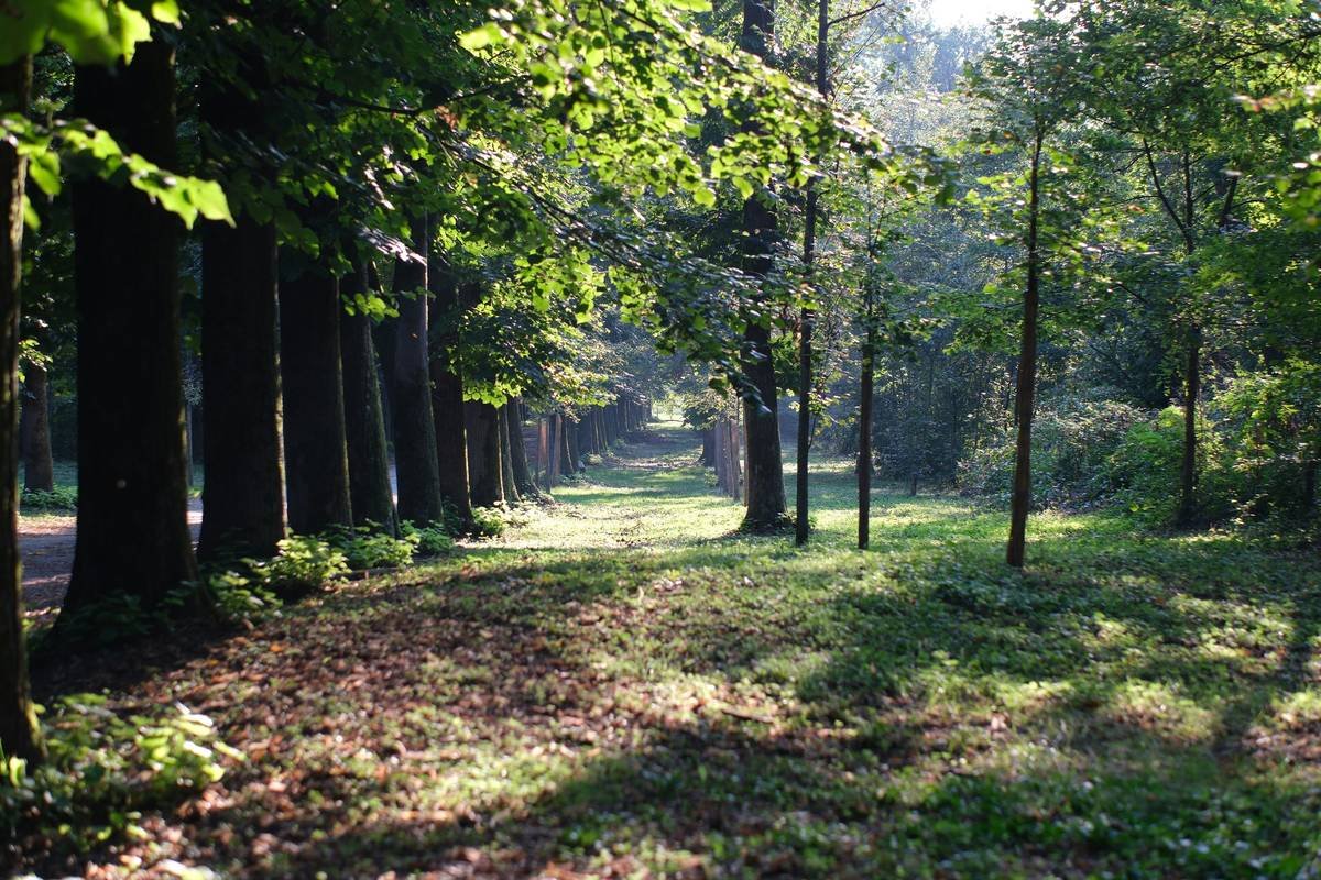 Infographic showing statistics about stress impacts and solutions