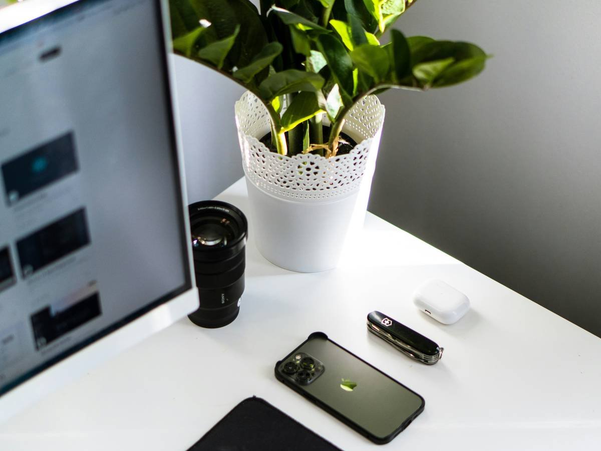 Before-and-after screenshot showing improved HRV and reduced stress scores using Finch app and Oura Ring over 6 weeks