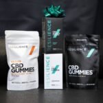 Is Your Stress Level Through the Roof? Why a ‘Guided Relax Kit’ Might Be Your Secret Weapon