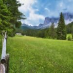Top Mindfulness Apps for Stress Reduction: Your Science-Backed Guide to Calmer Days