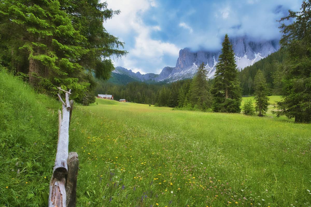 Top Mindfulness Apps for Stress Reduction: Your Science-Backed Guide to Calmer Days